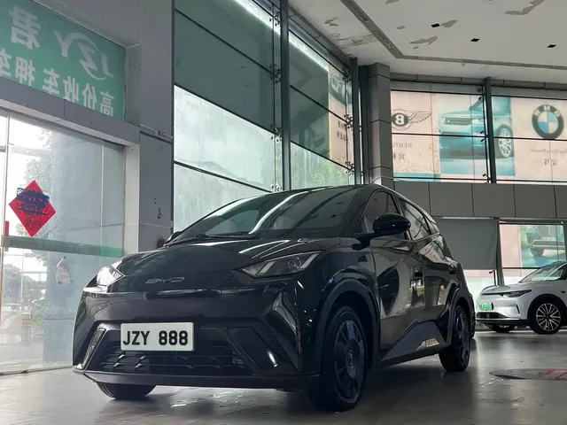 BYD Seagull 2024 Glory Edition 305km Vitality Edition
