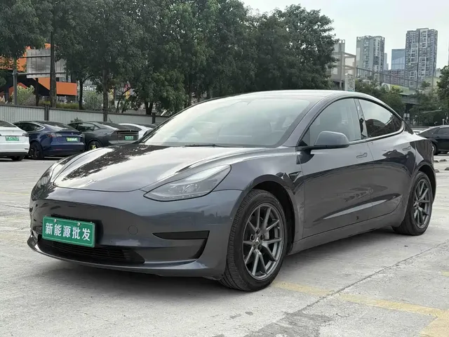 Tesla Model 3 2021 Standard Range Rear-Wheel Drive Upgrade 3D6
