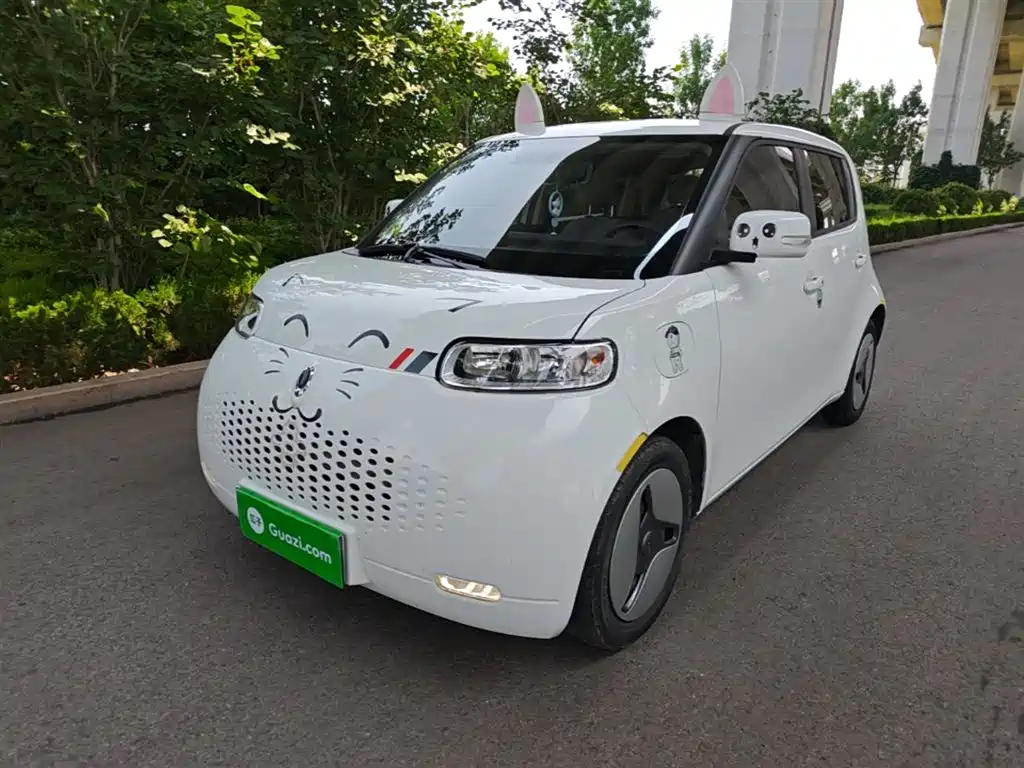 Ora White Cat 2020 360km Luxury Model