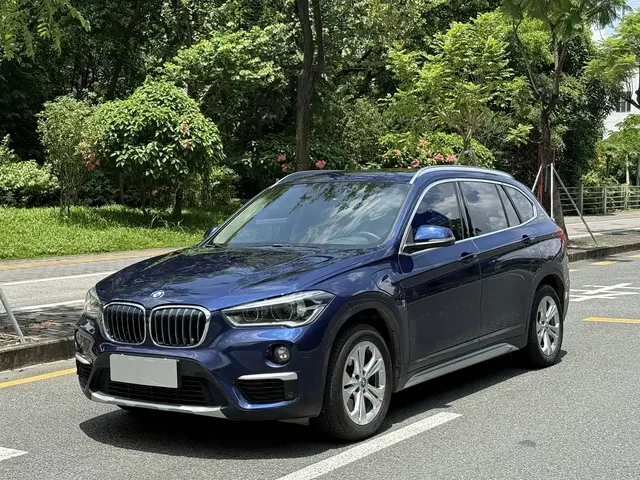 BMW X1 New Energy 2019 xDrive25Le Range Upgrade Edition