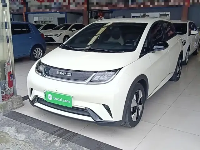 BYD Dolphin 2023 420km Freedom Edition