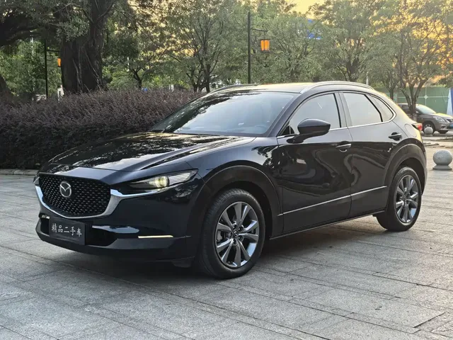 Mazda CX-30 2021 2.0L Auto Prestige Joy Type