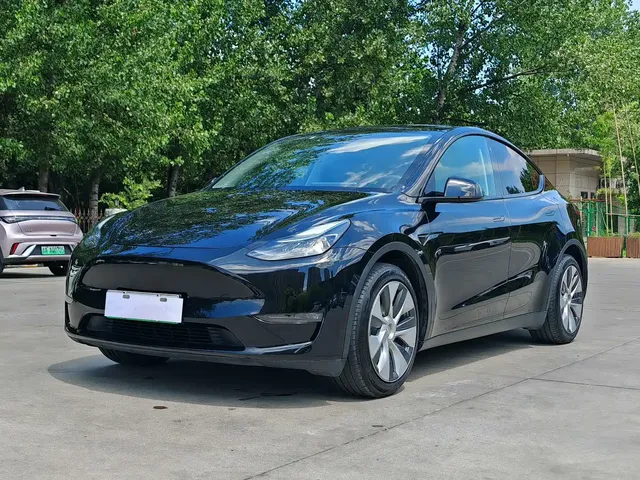Tesla Model Y 2021 Standard Range Rear-Wheel Drive