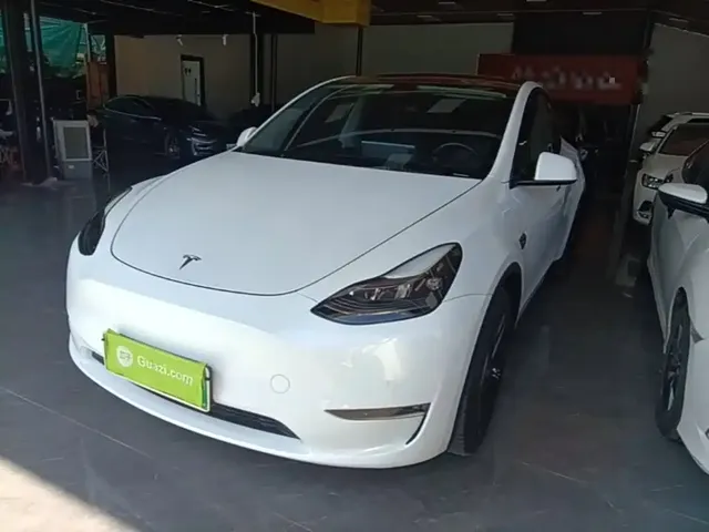 Tesla Model Y 2021 Standard Range Rear-Wheel Drive