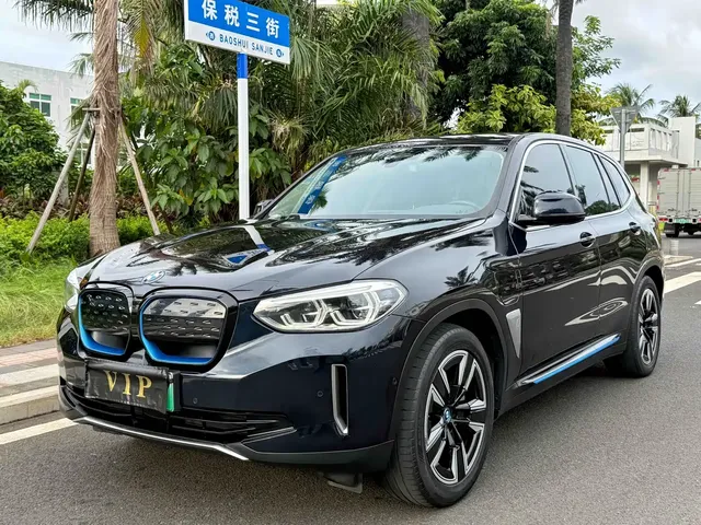 BMW iX3 2021 Leading