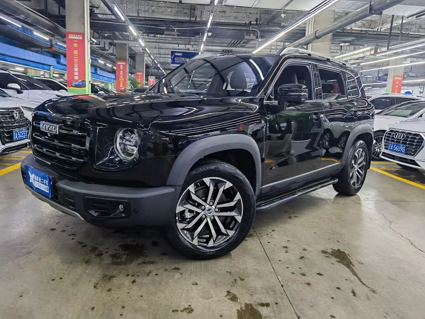 Haval Big Dog 2022 1.5T DCT FWD Border Collie Edition
