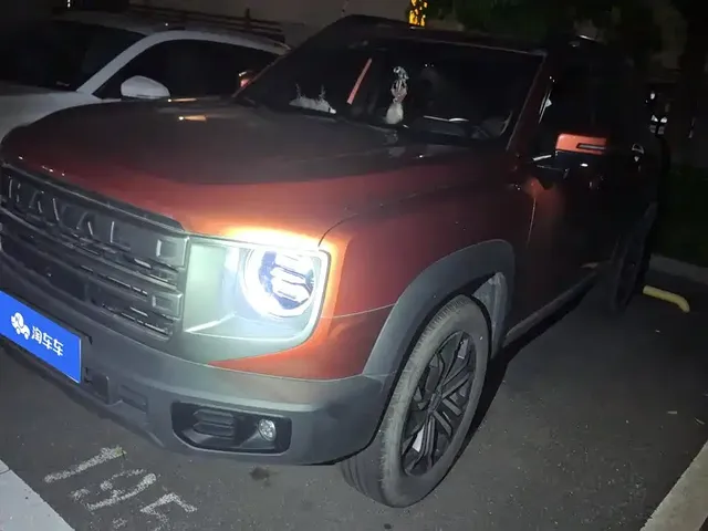 Haval Big Dog 2024 1.5T DCT Border Collie Edition
