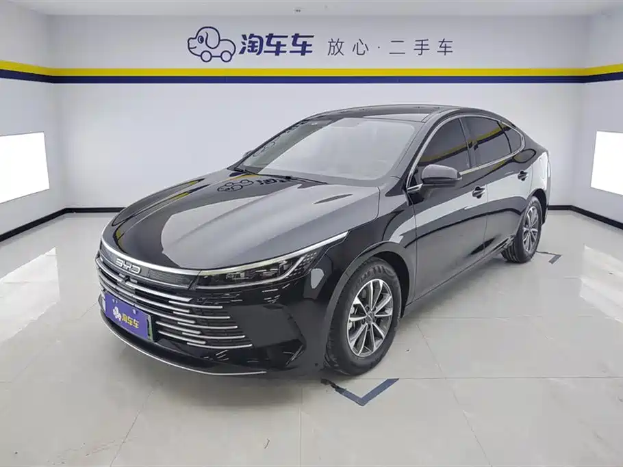 BYD Destroyer 05 2024 Glory Edition DM-i 55KM Luxury