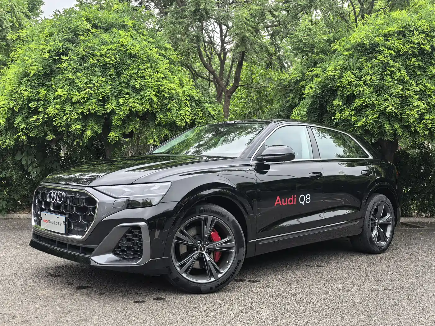 Audi Q8 2024 55 TFSI Luxury Sport