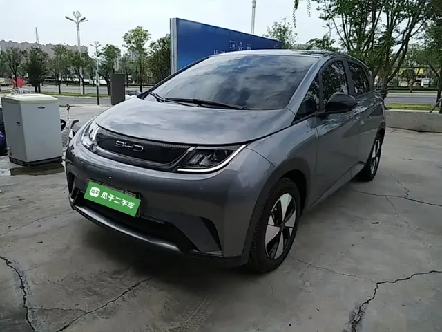 BYD Dolphin 2023 420km Freedom Edition