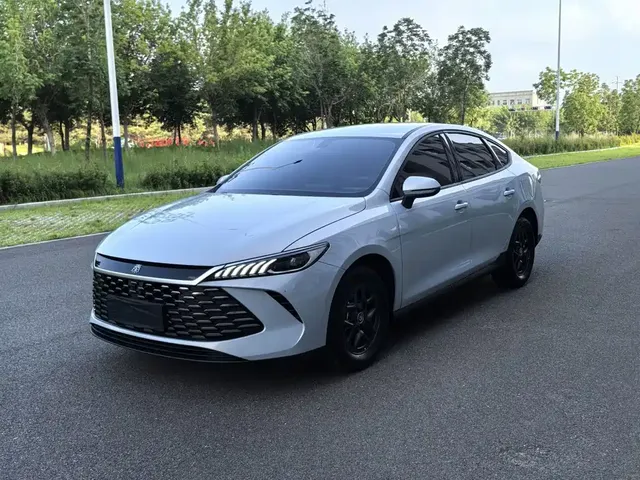 BYD Qin PLUS 2025 DM-i Smart Drive 55KM Leader