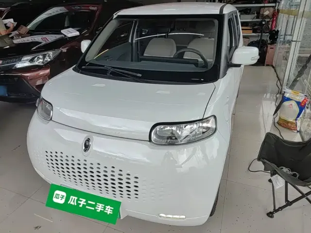 Ora White Cat 2020 305km Luxury