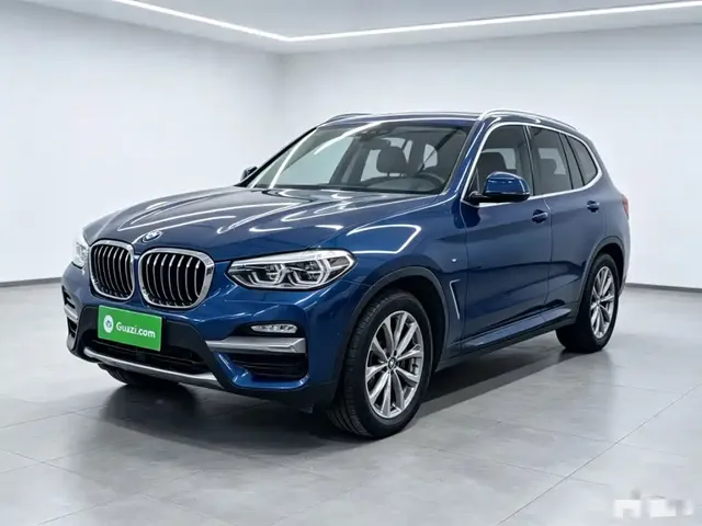 BMW X3 2018 xDrive25i Luxury Package China V