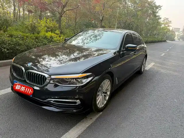 BMW 5 Series 2020 530Li Premium Luxury Package