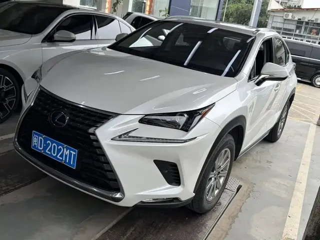 Lexus NX 2020 300h FWD F Sport China V