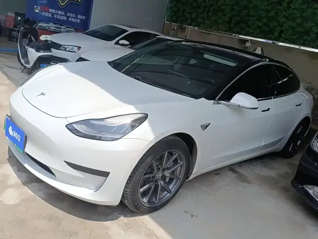 Tesla Model 3 2020 Standard Range Rear-Wheel Drive Upgrade