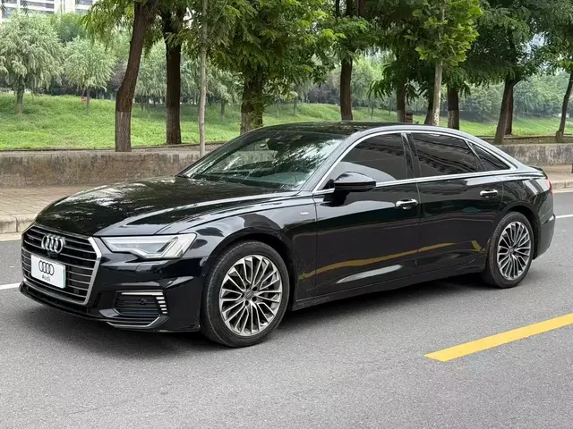 Audi A6L New Energy 2020 55 TFSI e quattro