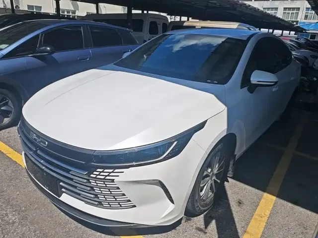 BYD Destroyer 05 2023 Champion Edition DM-i 55KM Luxury