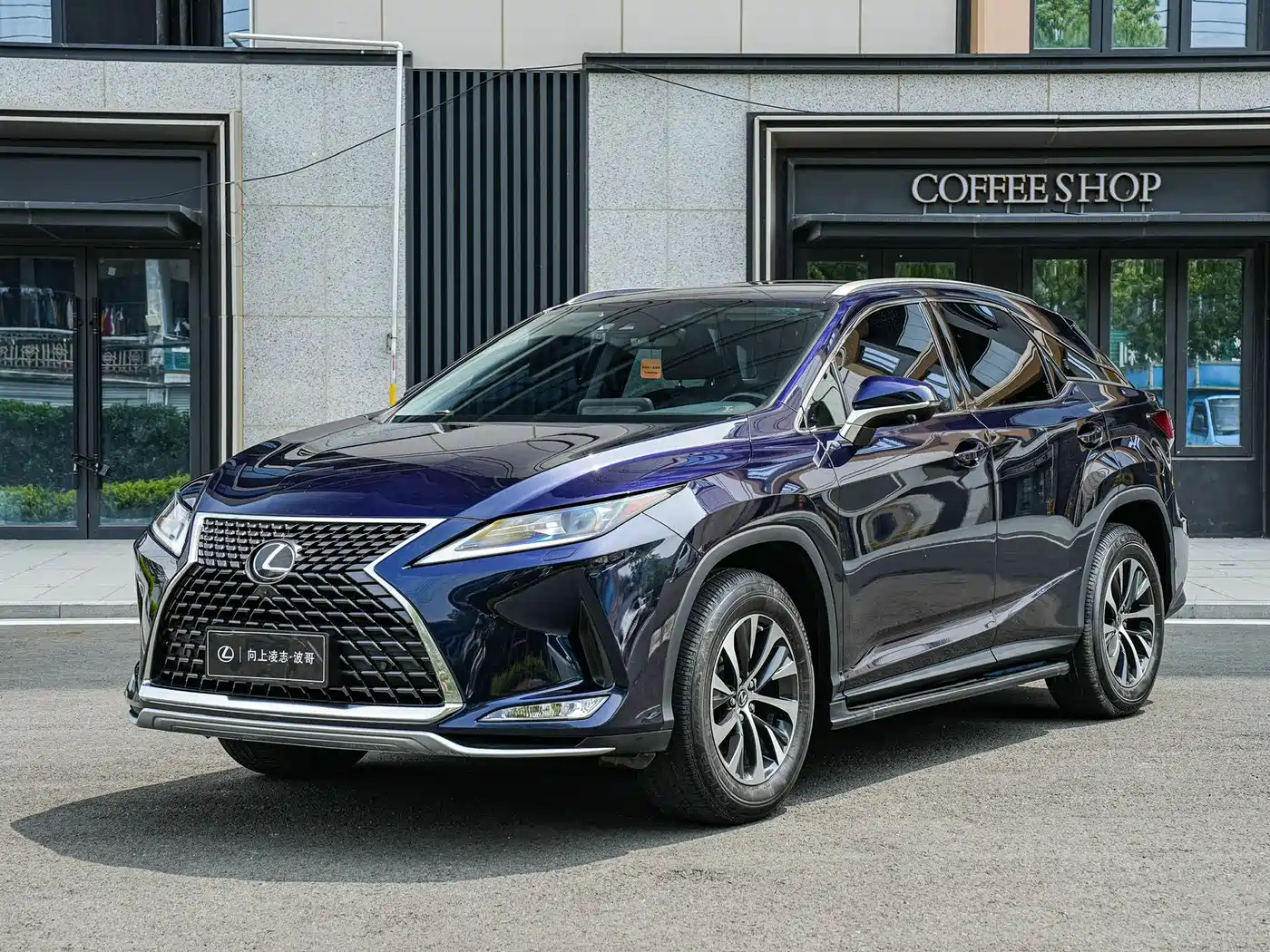 Lexus RX 2020 300 2WD Comfort Edition China VI