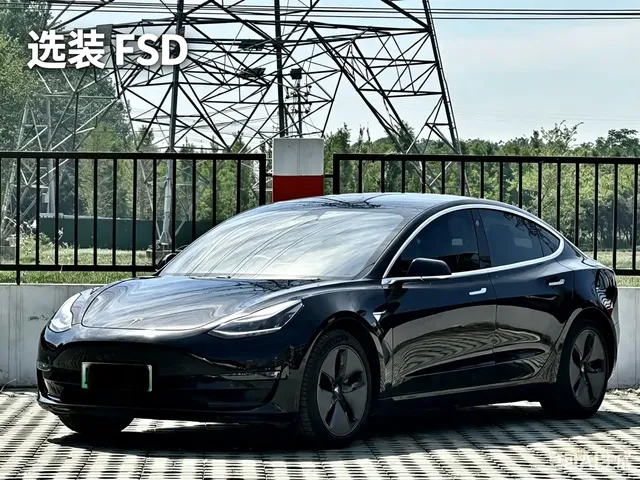Tesla Model 3 (Import) 2019 Long Range All-Wheel Drive Edition