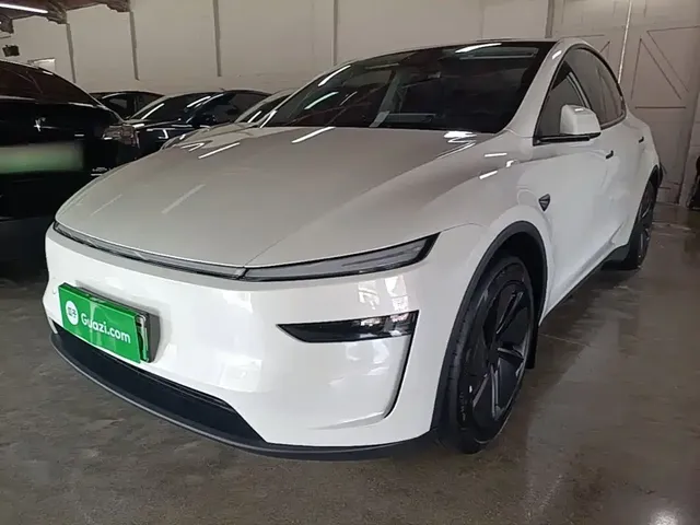 Tesla Model Y 2025 Model Long Range All-Wheel Drive Launch Edition