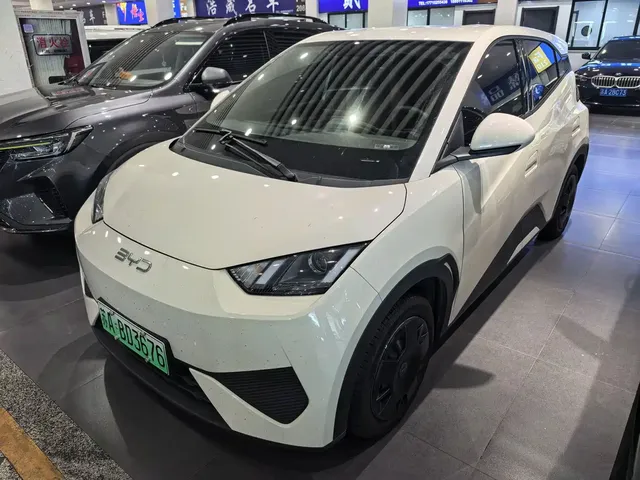 BYD Seagull 2025 Smart Drive Edition 305km Vitality Version