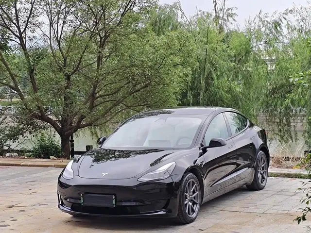 Tesla Model 3 2022 Model Rear-Wheel Drive Version
