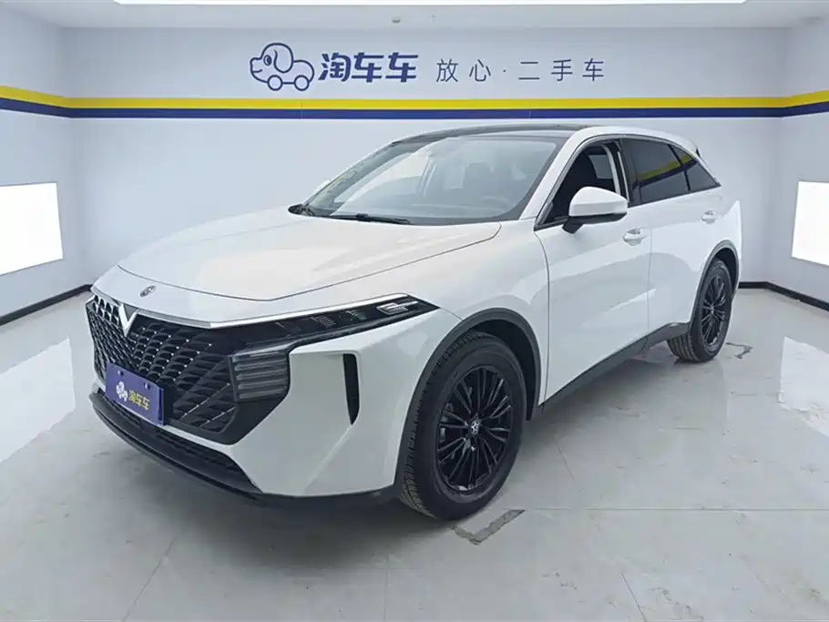 Venucia Big V 2021 260T Idol Edition