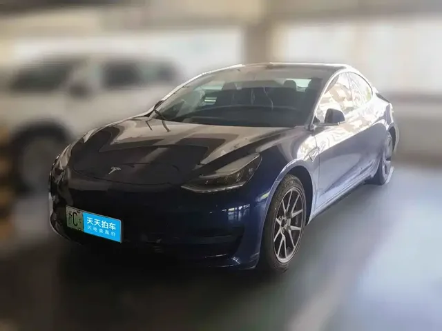 Tesla Model 3 2020 Facelift Standard Range RWD Upgrade