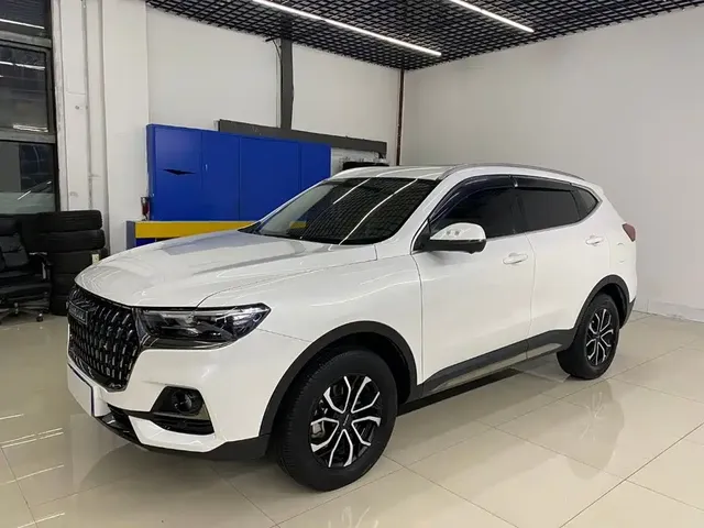 Haval H6 2023 National Trend Edition 1.5T Automatic Urban
