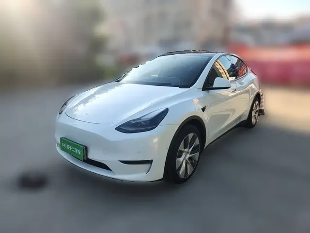Tesla Model Y 2021 Standard Range Rear-Wheel Drive