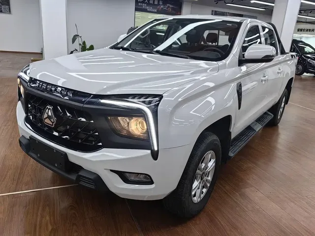 Sinotruk Bosheng 2024 Commercial 2.0T Automatic Diesel 4WD Long Wheelbase Luxury Edition
