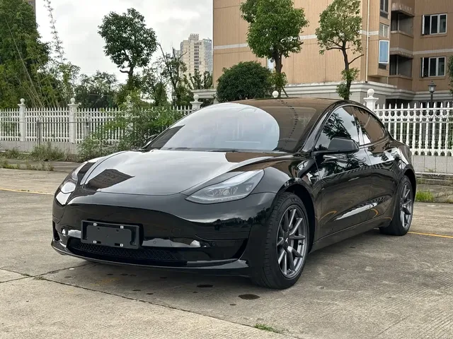 Tesla Model 3 2022 Model Rear-Wheel Drive Version