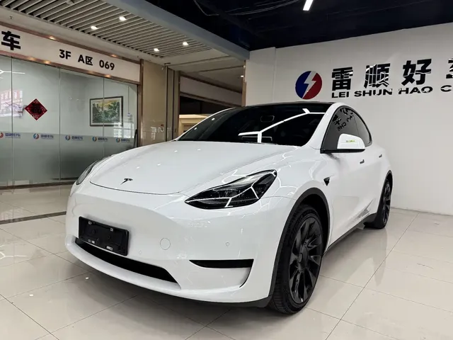 Tesla Model Y 2022 Rear-Wheel Drive Version