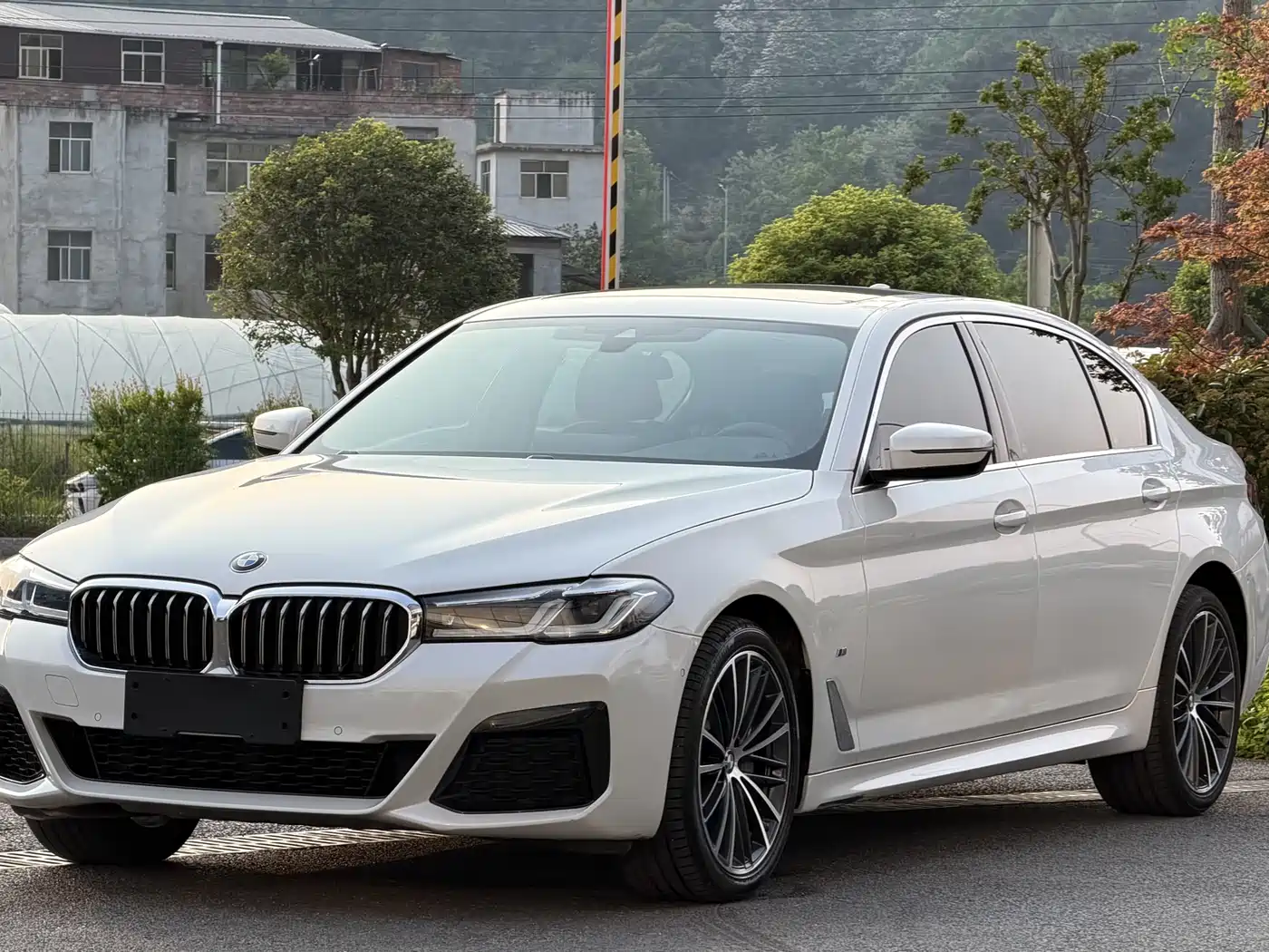 BMW 5 Series 2020 530Li xDrive Luxury Package