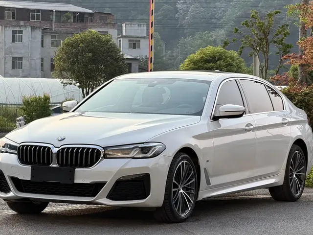 BMW 5 Series 2020 530Li xDrive Luxury Package