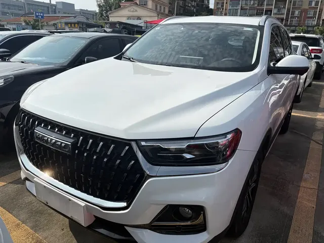 Haval H6 2023 National Trend Edition 1.5T Automatic Champion