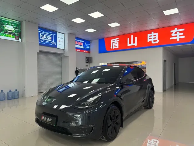 Tesla Model Y 2024 Rear-Wheel Drive Version