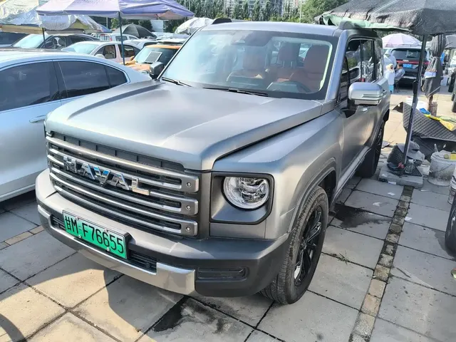 Haval Meng Long NEV 2024 Hi4 102 Pro