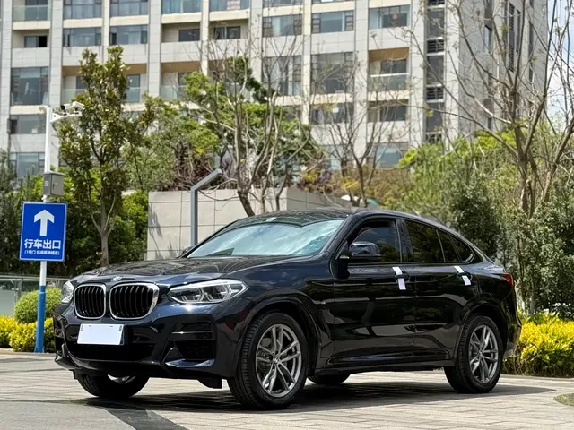 BMW X4 2019 xDrive25i M Sport Package