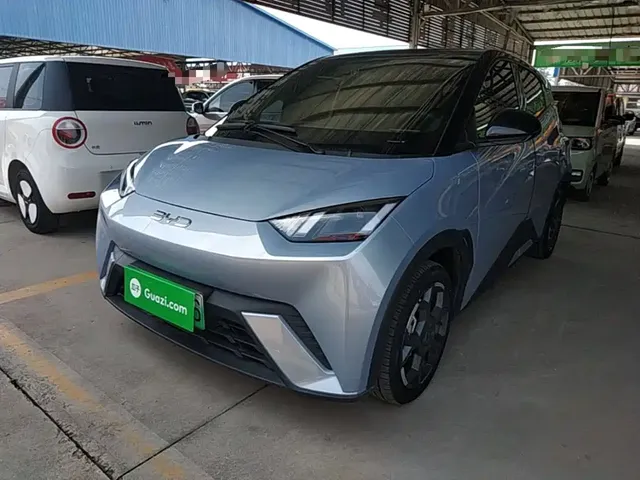 BYD Seagull 2024 Glory Edition 305km Freedom Edition