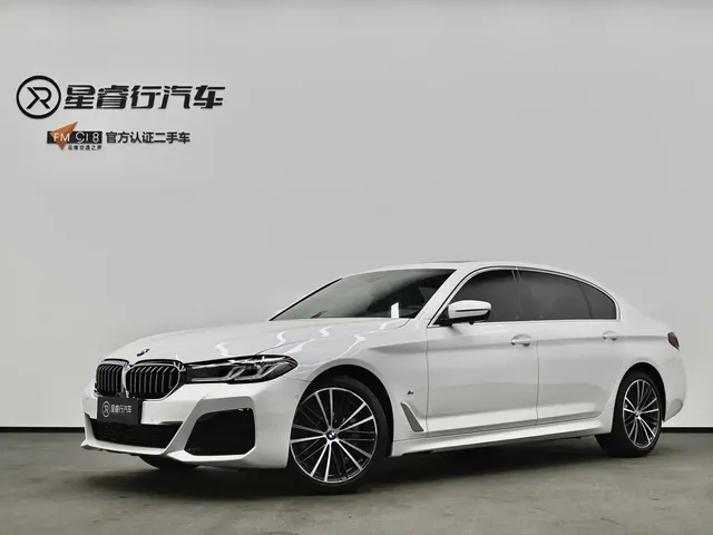 BMW 5 Series 2021 530Li Leading M Sport Package