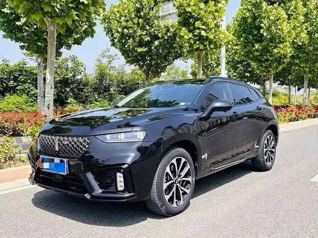 WEY VV7 2020 2.0T Luxury