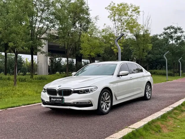 BMW 5 Series New Energy 2018 530Le Luxury Package