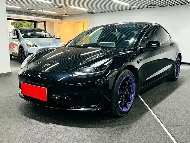 Tesla Model 3 2022 Model Rear-Wheel Drive Version