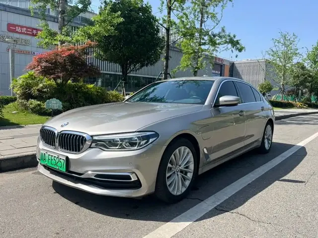 BMW 5 Series New Energy 2020 530Le Luxury Package