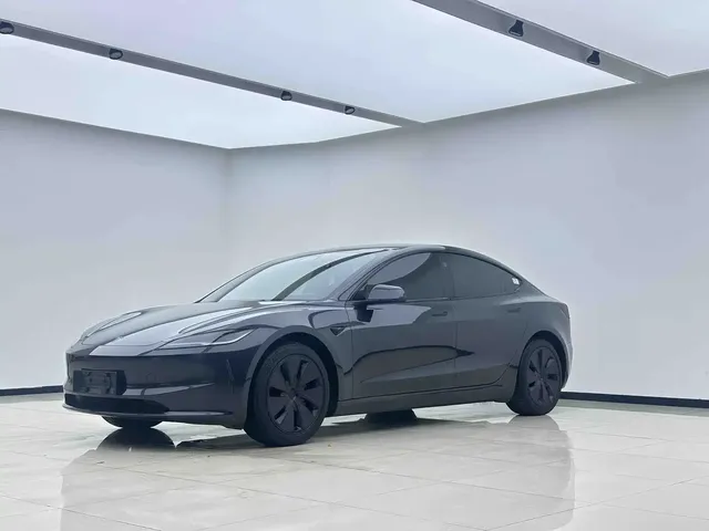 Tesla Model 3 2025 Model Rear-Wheel Drive Edition