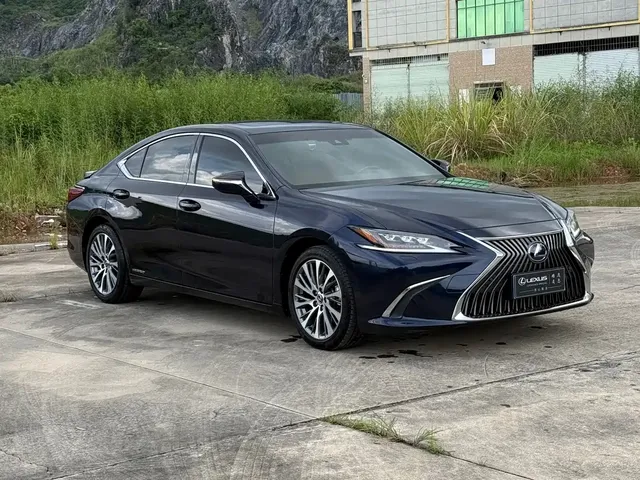 Lexus ES 2018 300h Premium Edition China V