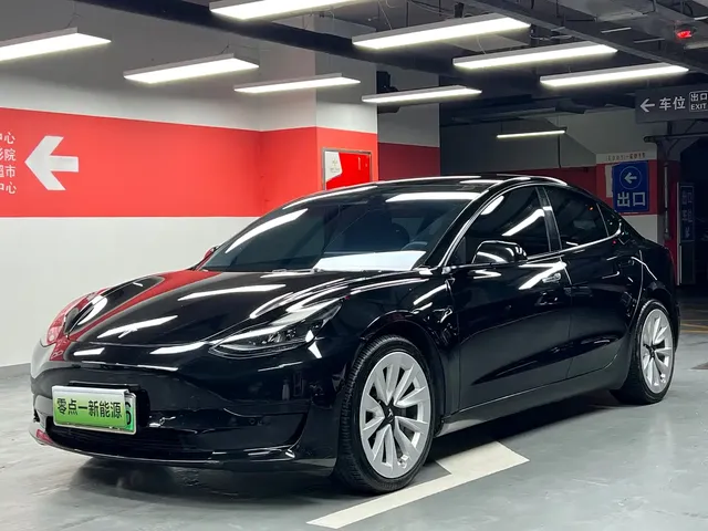 Tesla Model 3 2021 Facelift Standard Range RWD Upgrade 3D1
