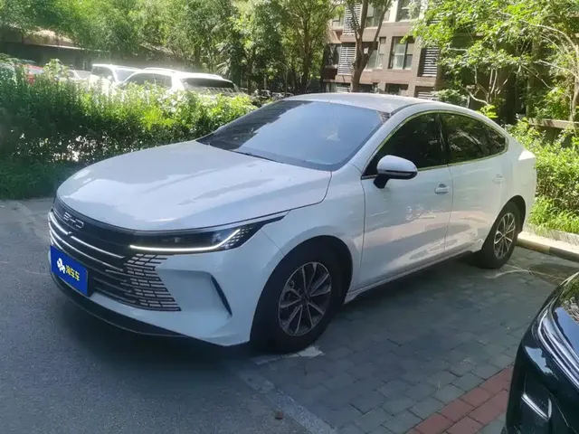 BYD Destroyer 05 2024 Glory Edition DM-i 55KM Luxury
